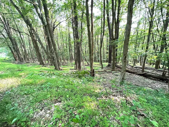 Lots 69 & 70 Clover Dr, Terra Alta, WV 26764