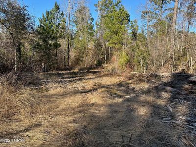 3241 Highway 90, Marianna, FL, 32446