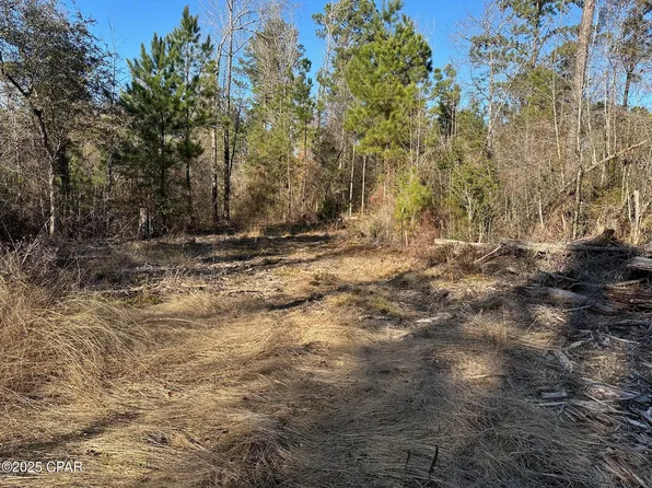 3241 Highway 90, Marianna, FL 32446