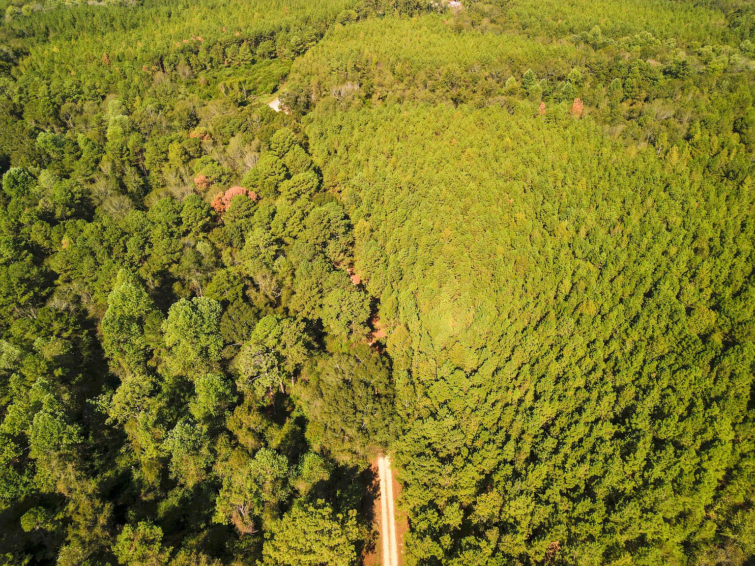 0 Crosby Rd, Seminary, MS 39479 MLS 135557 Zillow