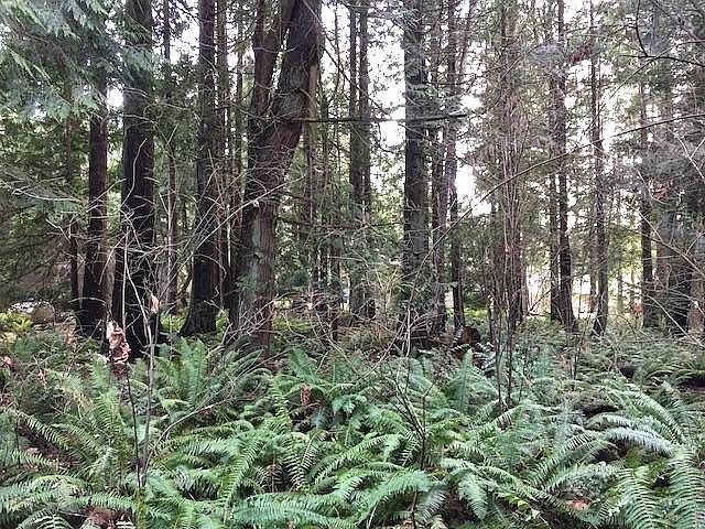 1st image of LOT 4 Tyee Dr
