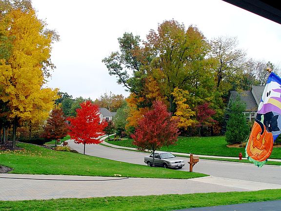 Fall view from garage