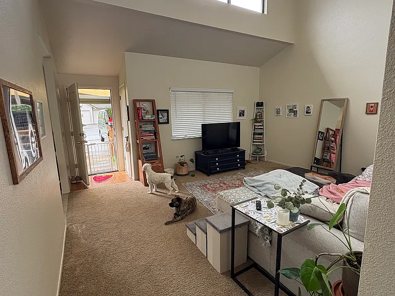 527 Flicker Ave — Photo 5