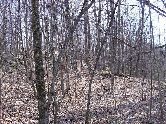 4th image of Little Bow Road