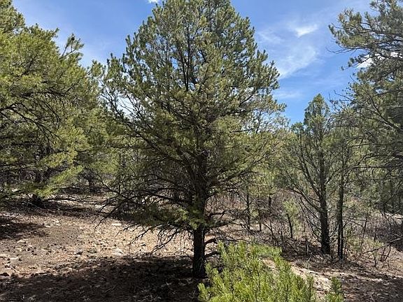 4th image of Lot 58 Upper Penabete