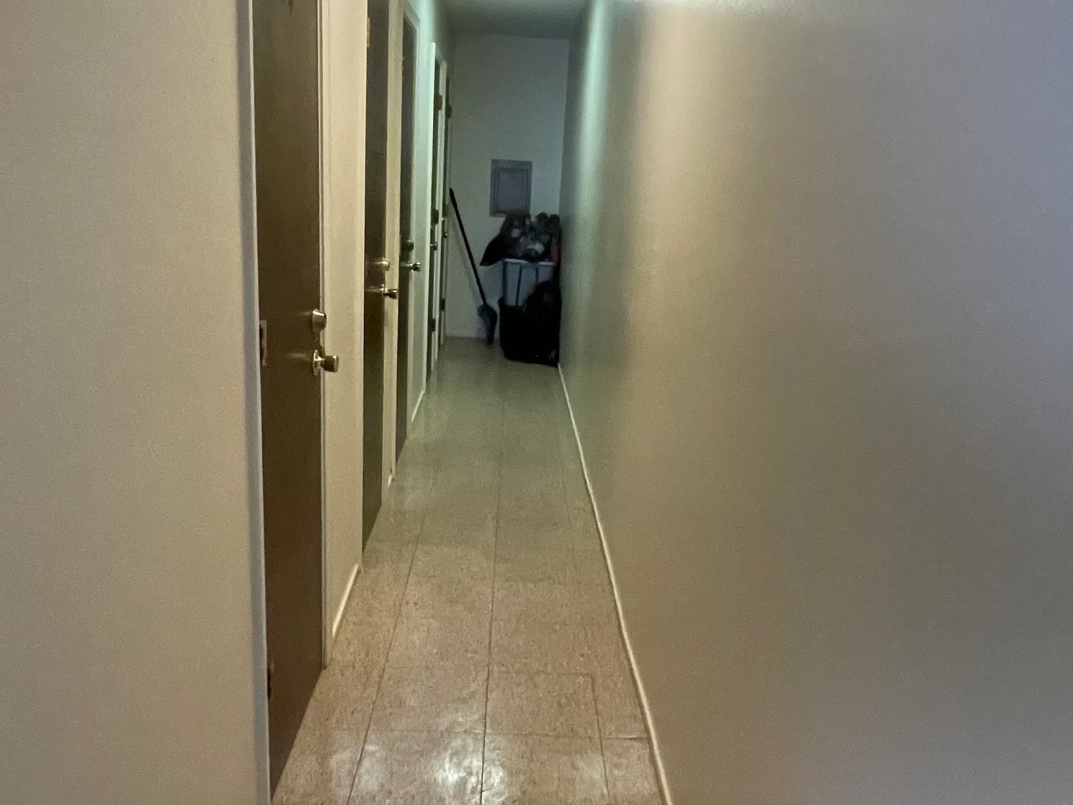 1 bed, 525 sqft, $700 — Photo 4