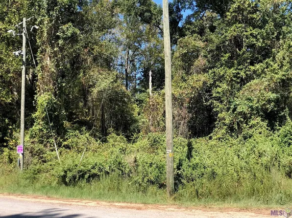 Idlewild Rd, Clinton, LA 70722