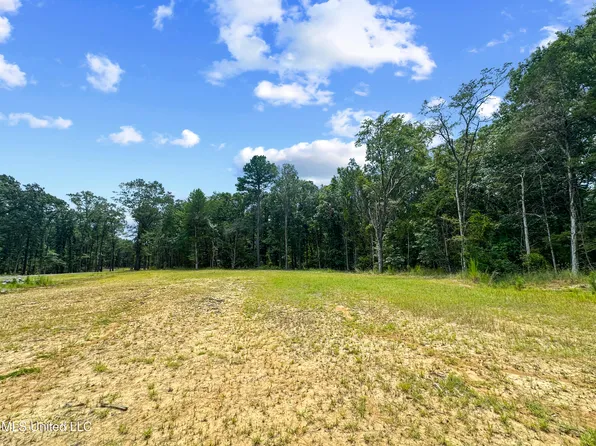 Canyon Rdg Lot 1, Flora, MS 39071