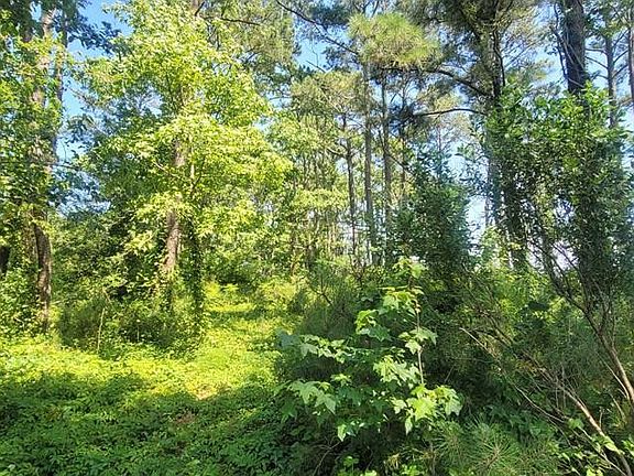 2nd image of 145 Sailboat Road LOT 22