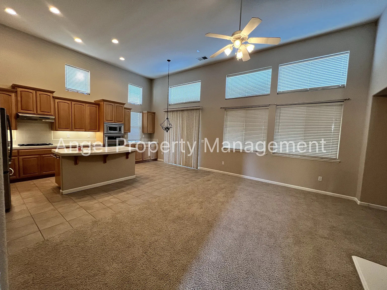 10113 Annie Street - 1 — Photo 4