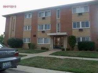 11036 S Kenneth Ave APT 2, Oak Lawn, IL 60453