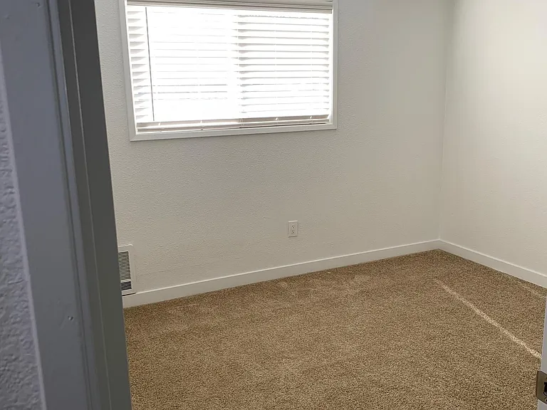 Tall Tree Manor — Photo 40