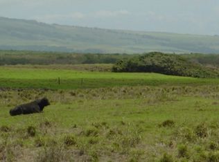 LOT 55 Lot 55, Naalehu, HI 96772