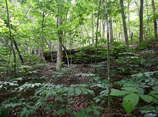 0 Swinging Bridges Rd, Montreal, MO 65591