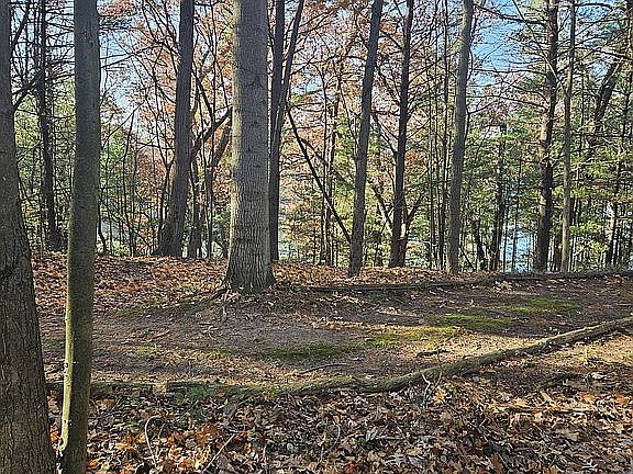 3rd image of 9446 Cottage Park