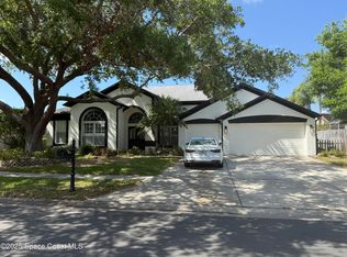 4749 Stoneview Cir, Oldsmar, FL 34677