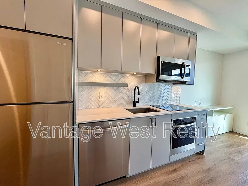 Studio, 1.0 bath, 313 sqft, $1,338 — Photo 3