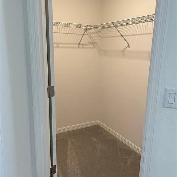 32077 Powderpuff Mimosa Dr — Photo 24