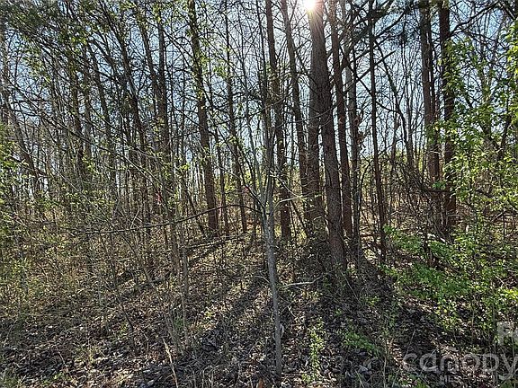 5th image of 1361 Zeb Haynes Rd #1