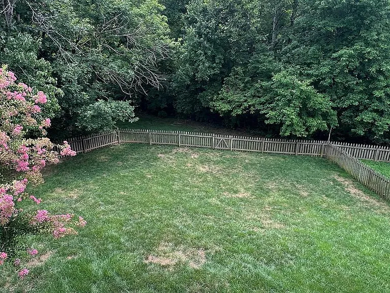 16 Emerald Dr — Photo 20