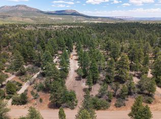 295 S White Oak St, Kanab, UT 84758