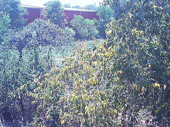 3rd image of 0 12th St