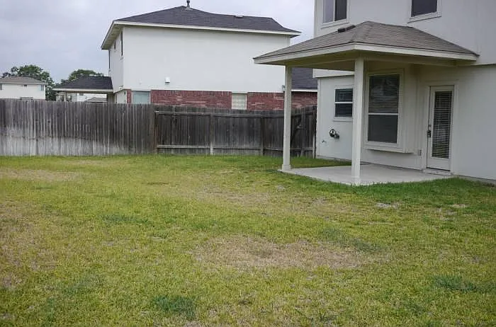 Back yard