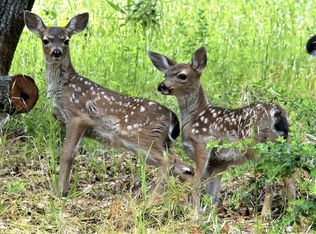 30 Valley Rd, Fairfax, CA 94930