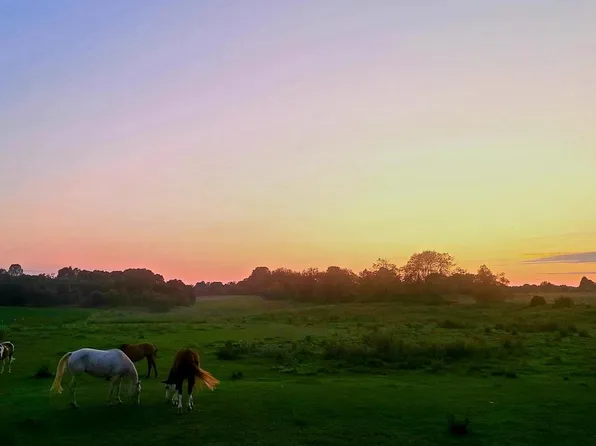 1982 North CRESTWOOD ROAD, Antigo, WI 54409