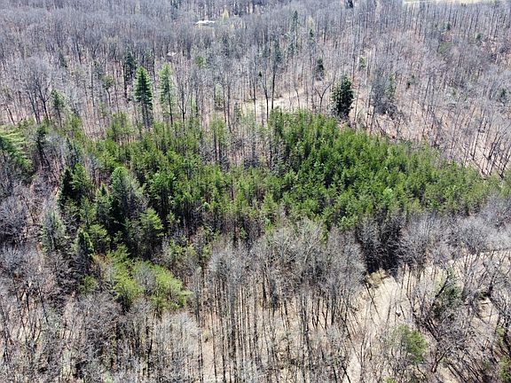 2nd image of 15 Hopewell Hawks Point Rd