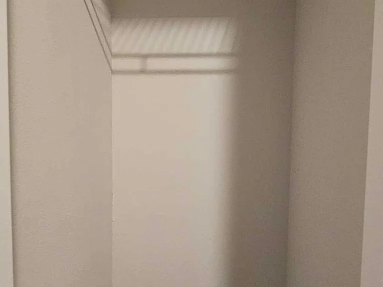Hall closet_03222024