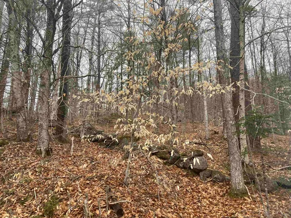 4 &5 River Road, Dorchester, NH 03266