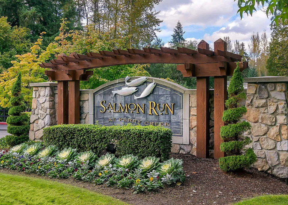 Salmon Run at Perry Creek