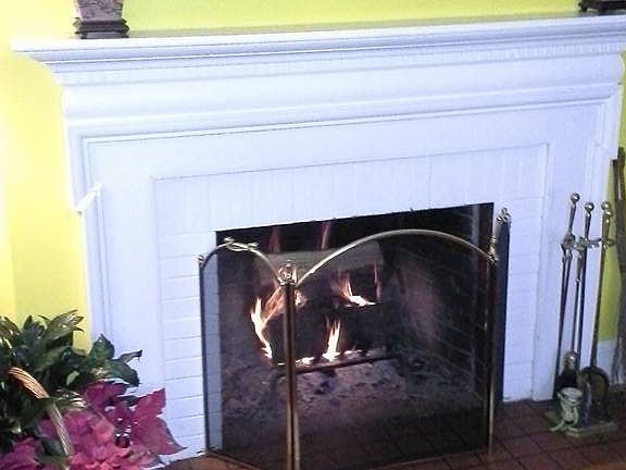 LR wood burning fireplace