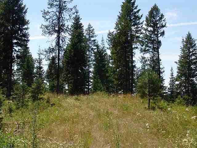 2nd image of L5b4 Upper Murray Creek Rd