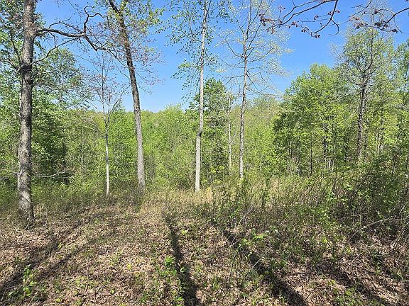 4th image of 360 James Zimmerman Rd