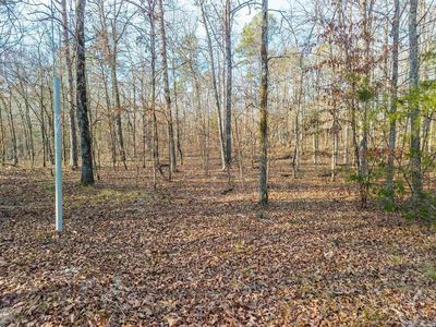 (Undisclosed Address), Royal, AR, 71968