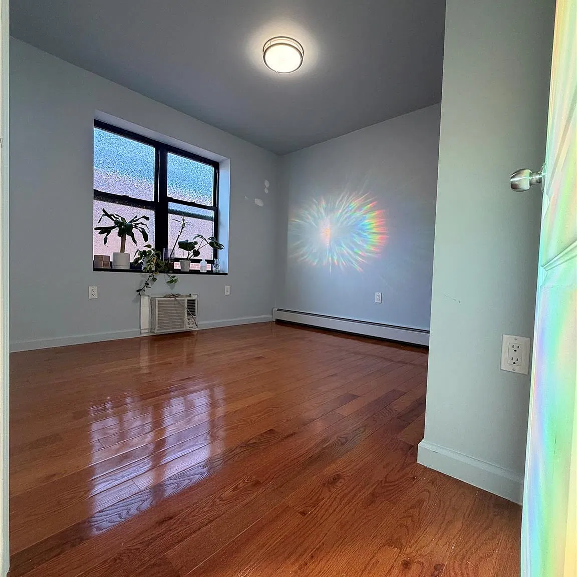 3 bed, 1.5 bath, 900 sqft, $3,500 — Photo 4