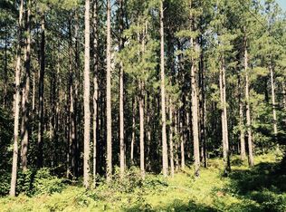 0 Tranquil Ln, Hamlet, NC 28345