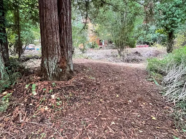 136 Lagunitas Road, Lagunitas, CA 94938