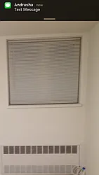 Rented by Andrea Bohackova, LREB