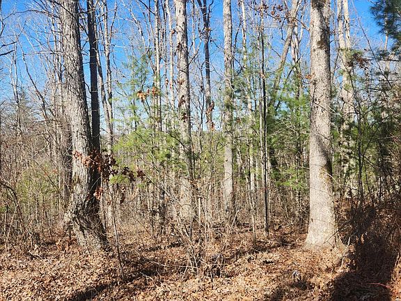 4th image of 0 Brown Creek Dr #134