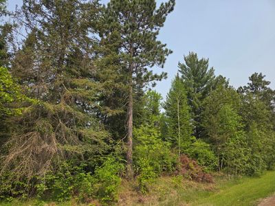 Graycalm Ct SE, Bemidji, MN, 56601
