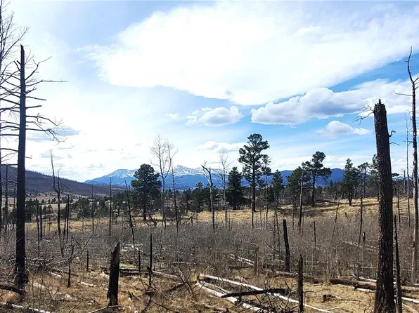 Lot 1209 Emery Loop, Fort Garland, CO 81133