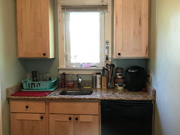 Bright window overlooking the back yard.