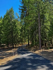 4701 Vogelsang Ln, Placerville, CA, 95667