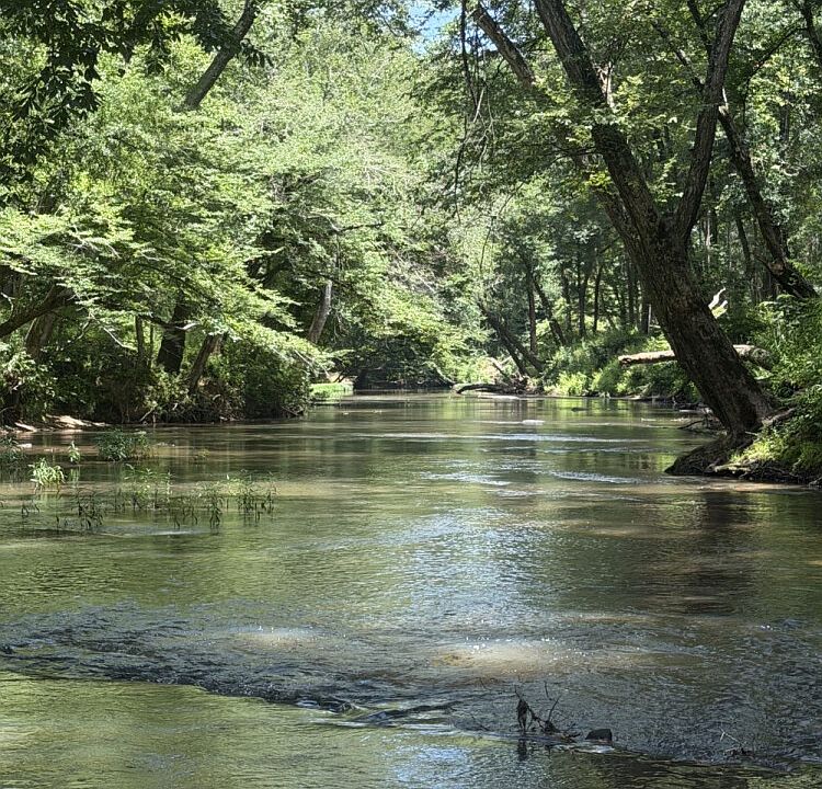 1st image of The Retreat At Riverside Rnch Lot 52