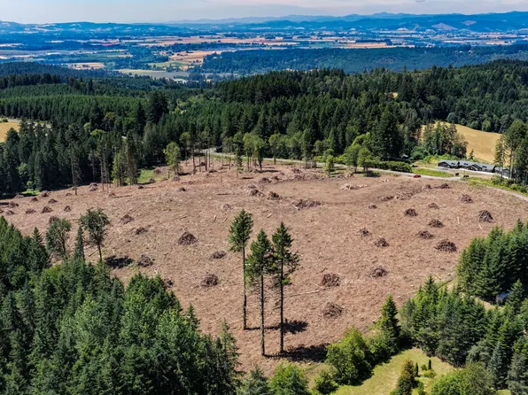 26350 NW Moreland Rd, North Plains, OR 97133