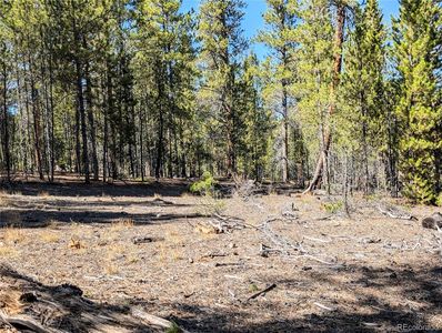 322 Juniper Drive, Twin Lakes, CO, 81251