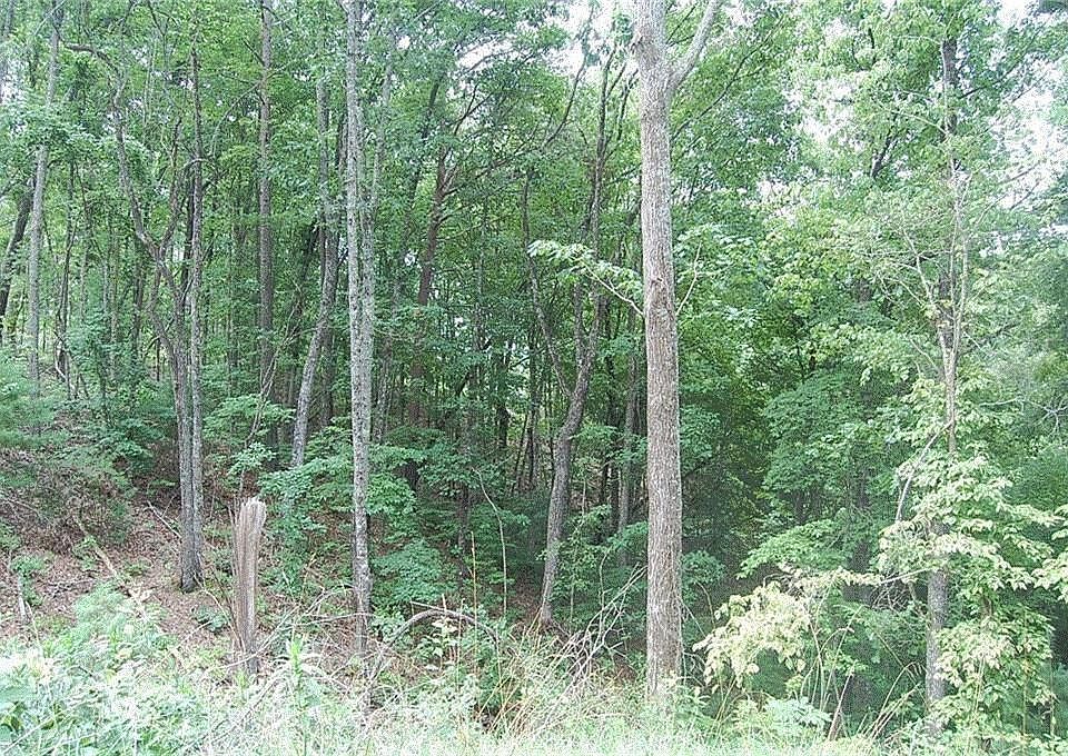 2nd image of 384 Back Pine Way #7